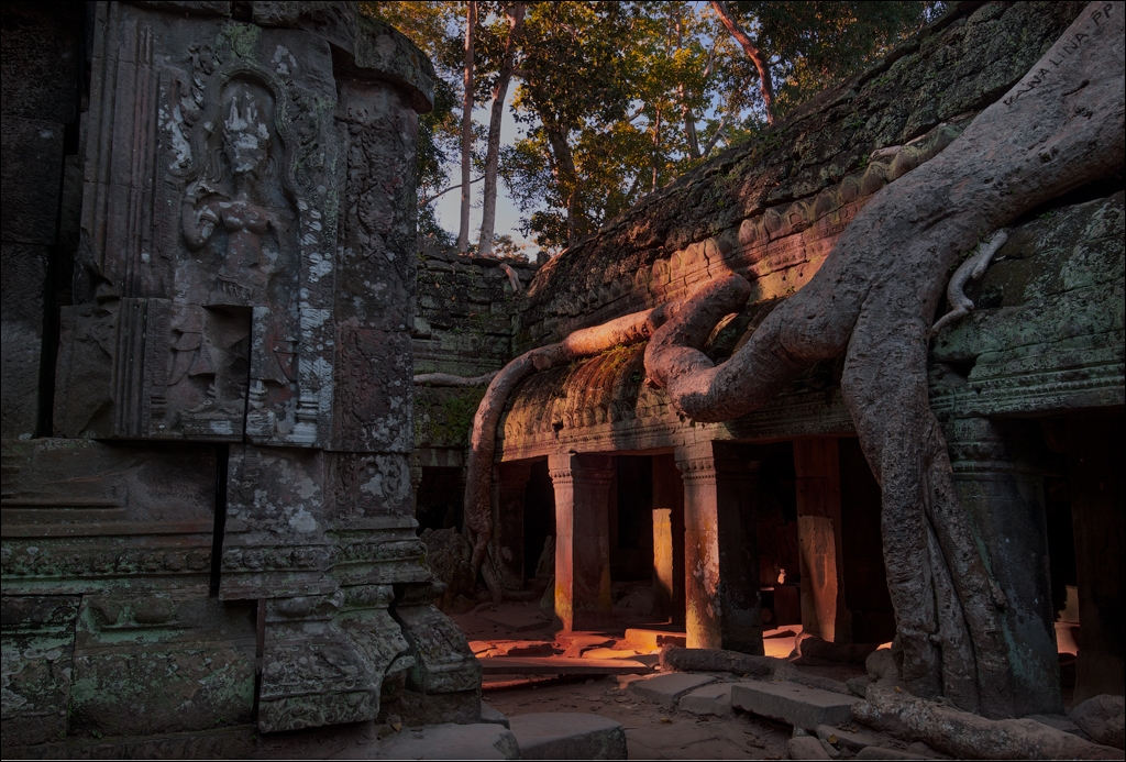 Ta Prohm Nov2009 081