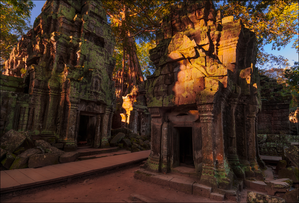 Ta Prohm Nov2009 083