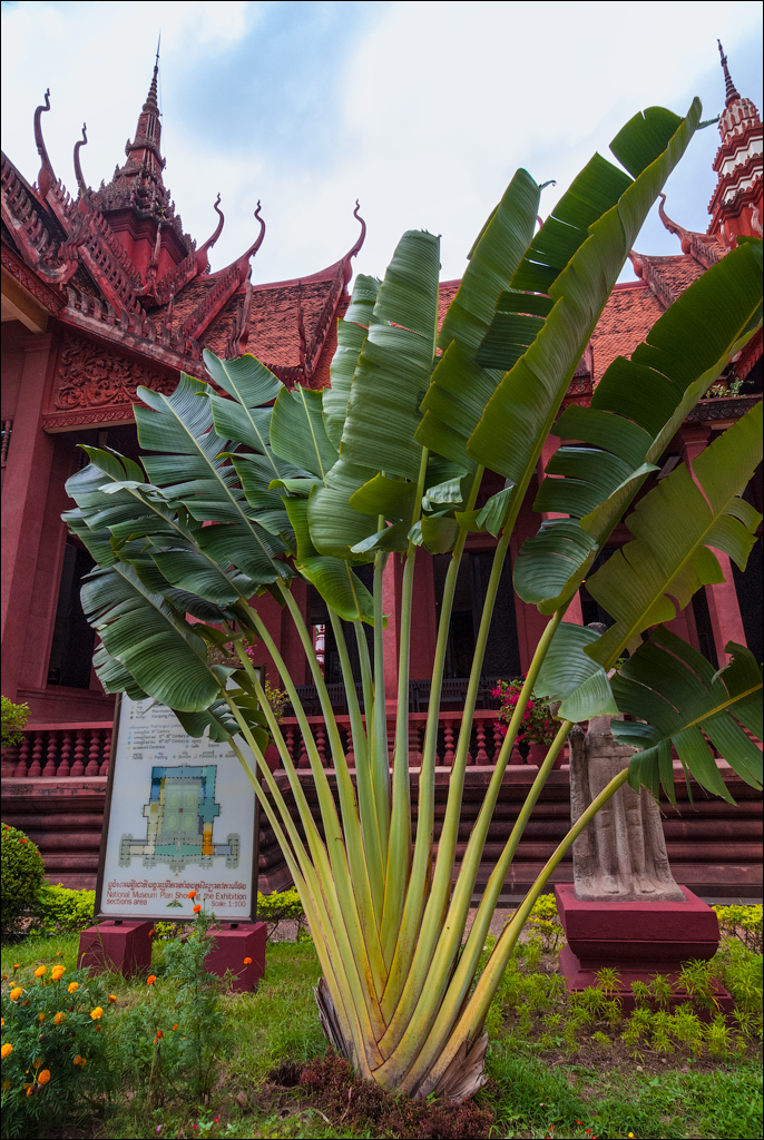PhnomPehn TonleSap Nov2009 010