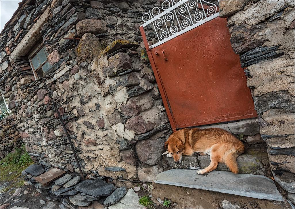 Georgia 16092313262166