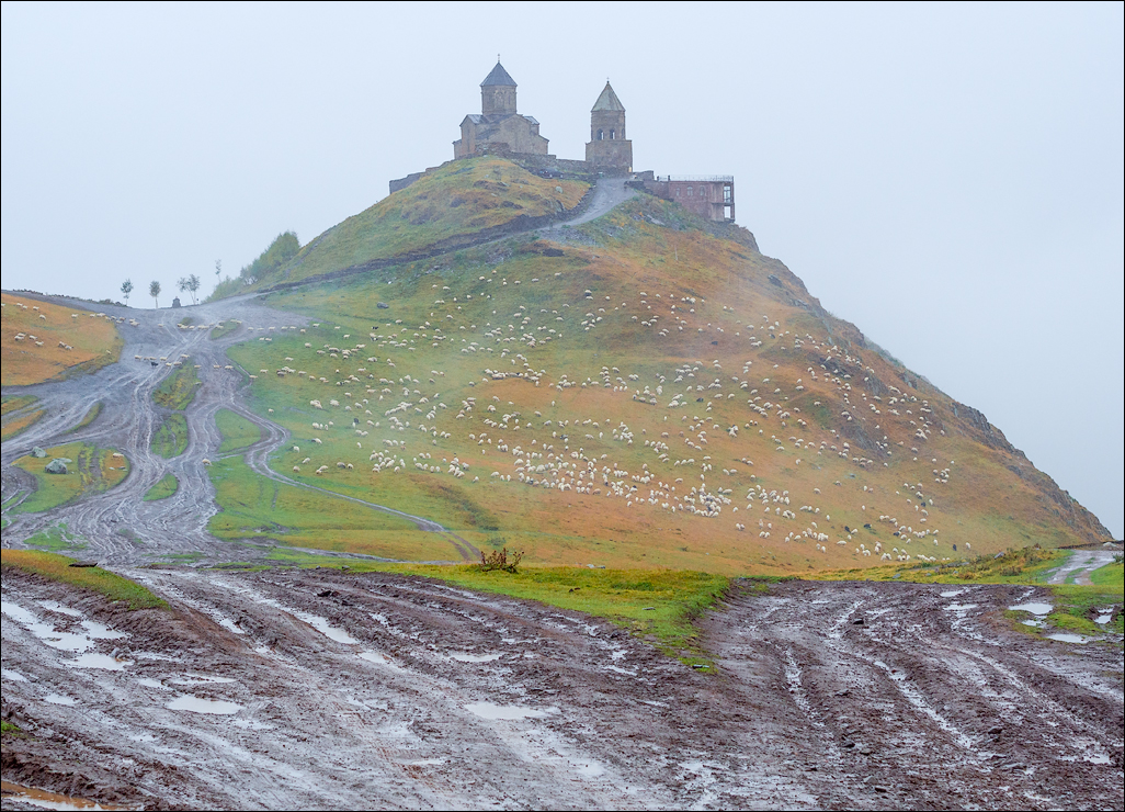 Georgia 16092407130772