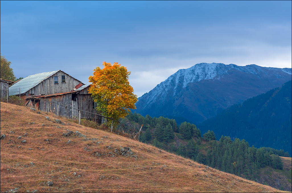 Georgia 160928051103243