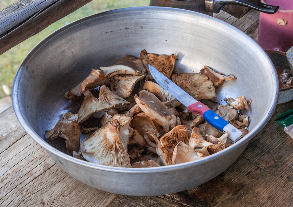 Georgia 160928155037348