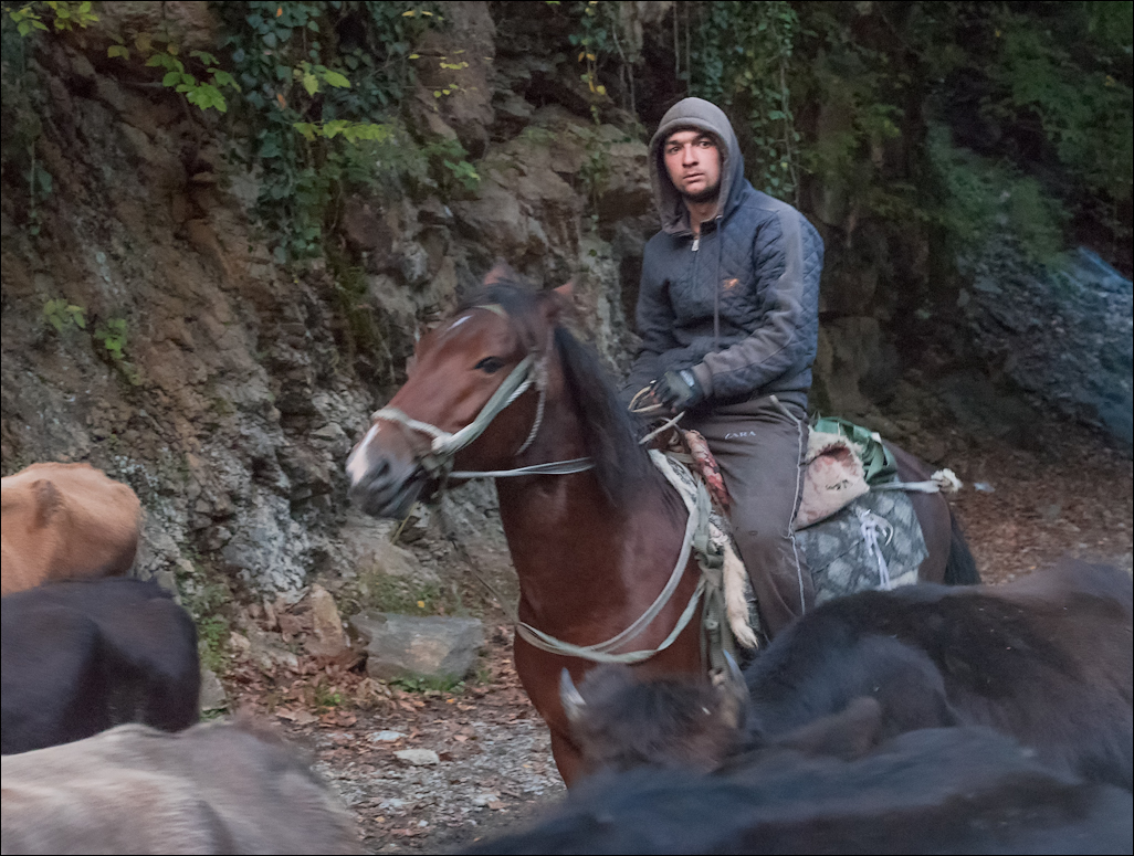 Georgia 160930153744559