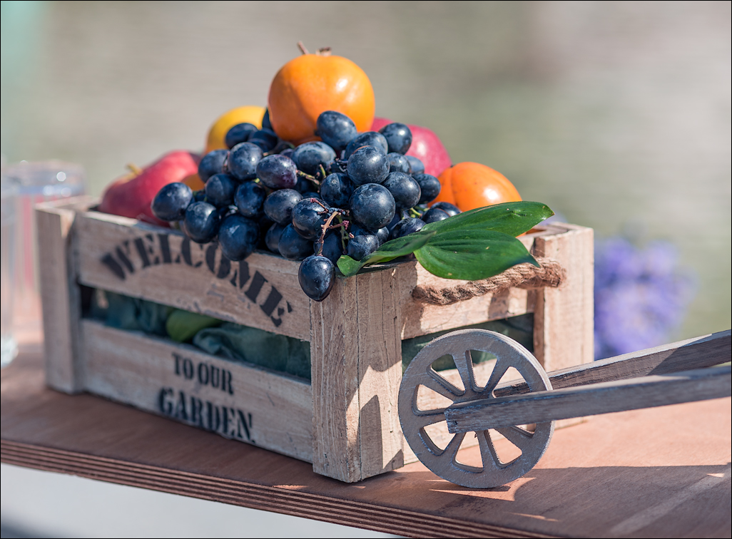 Georgia 161002102859925