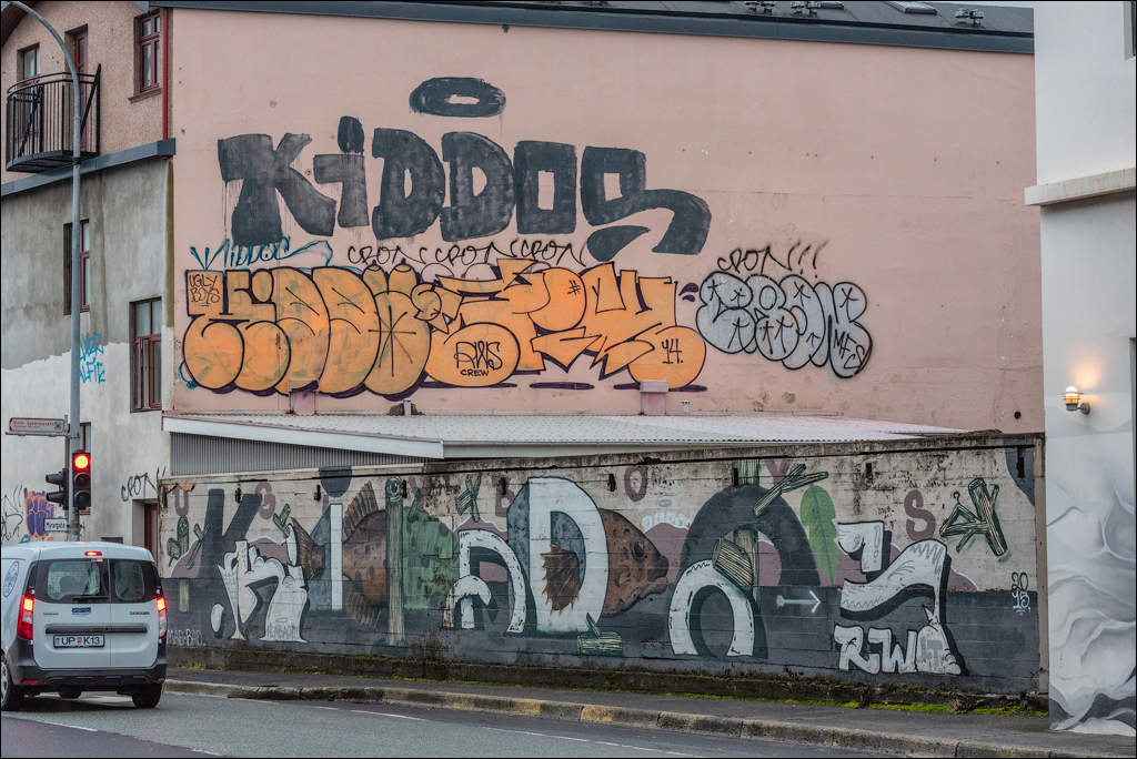 Reykjavik1 04012020 195