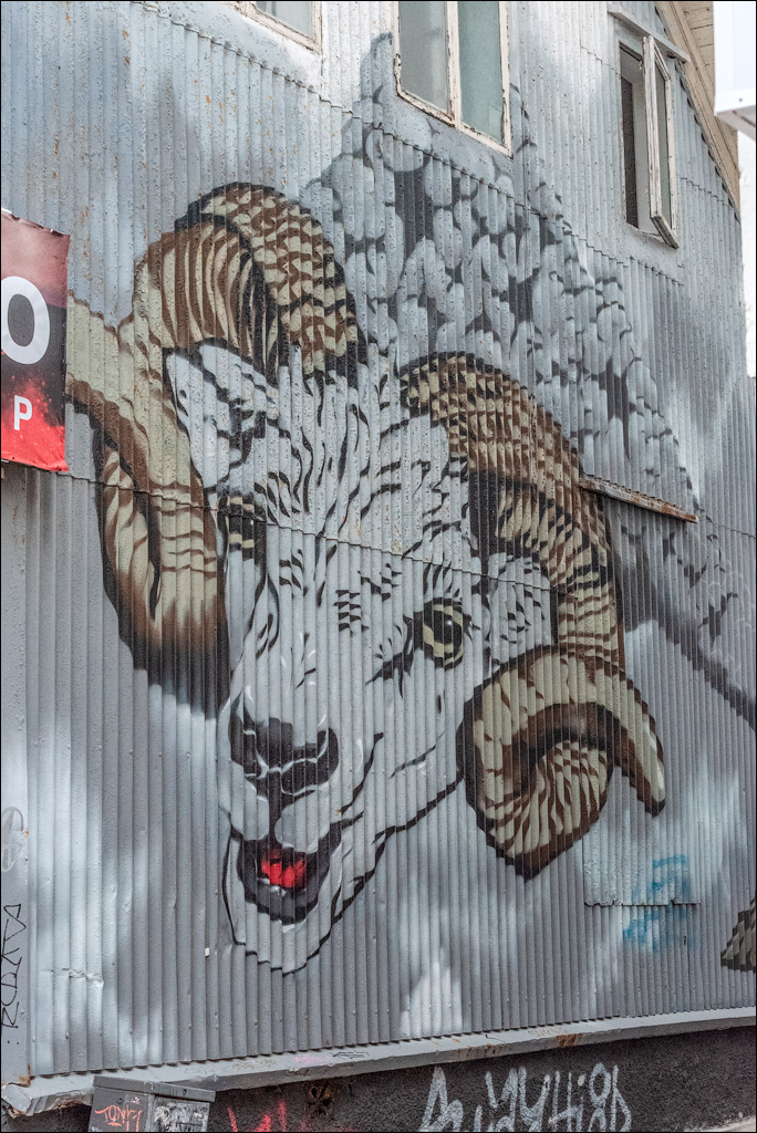 Reykjavik2 04012020 242