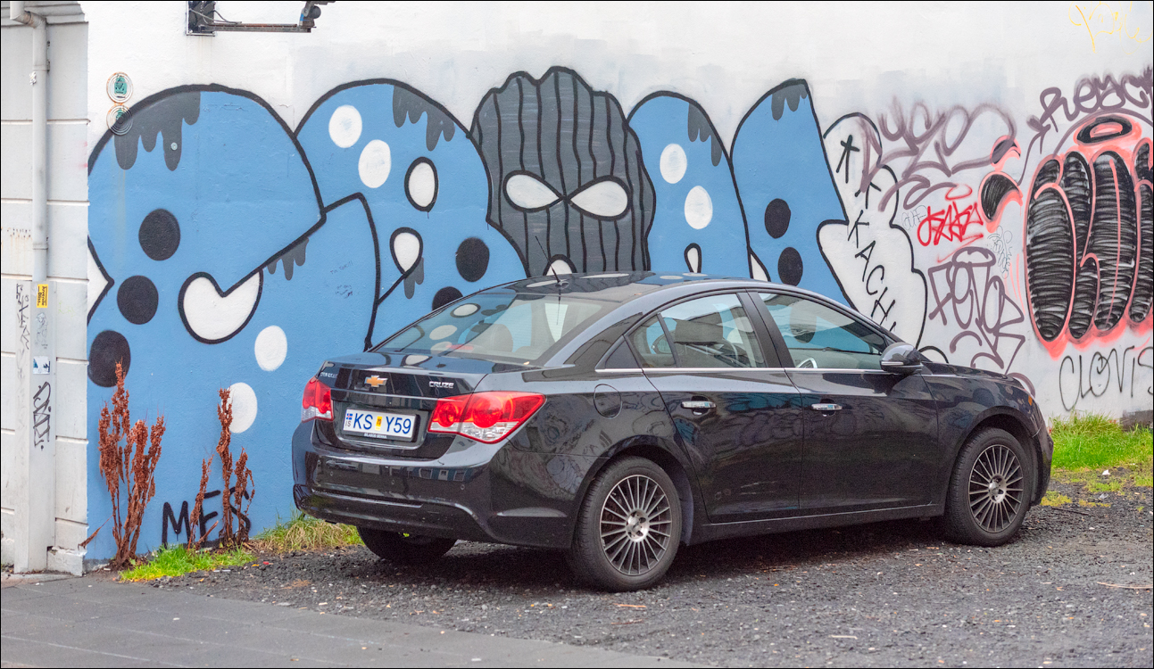 Reykjavik2 04012020 247