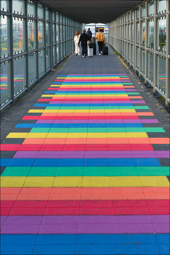 RaudholarCalgahraun 2023 158