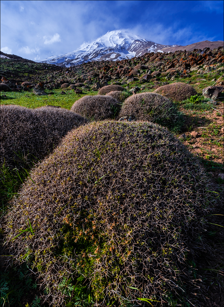 Iran20160504150622191