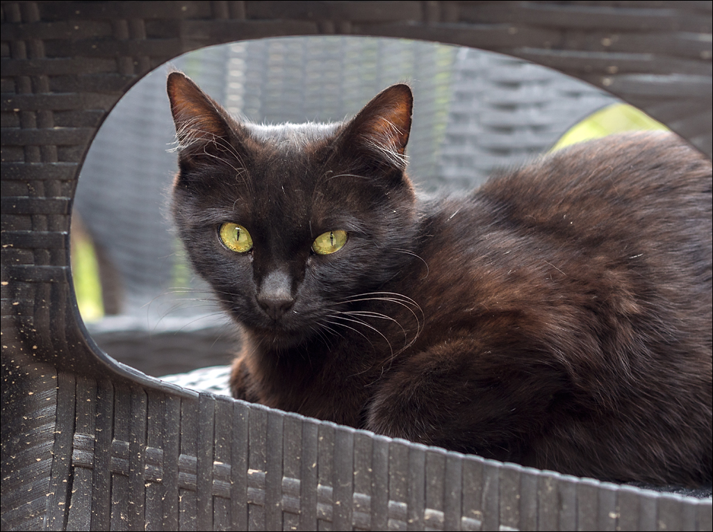 Iran20160505150452250