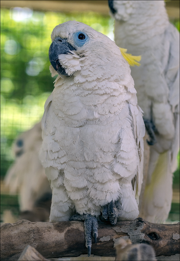 Iran20160506083439326