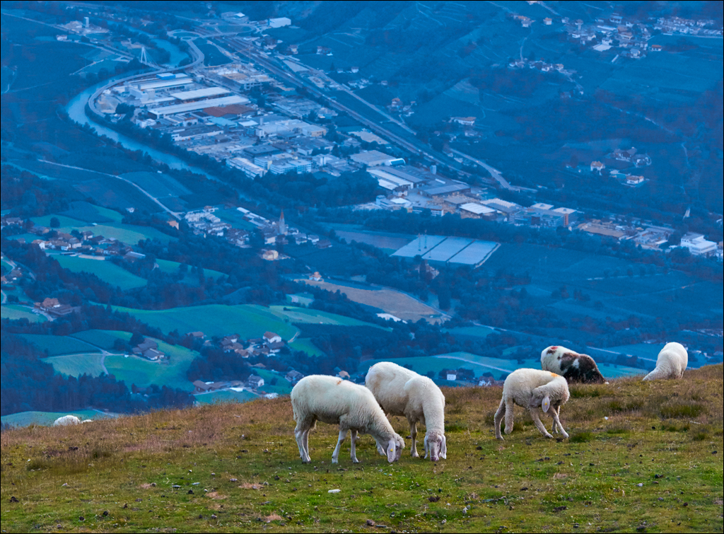 Dolomity 2017 1 059059