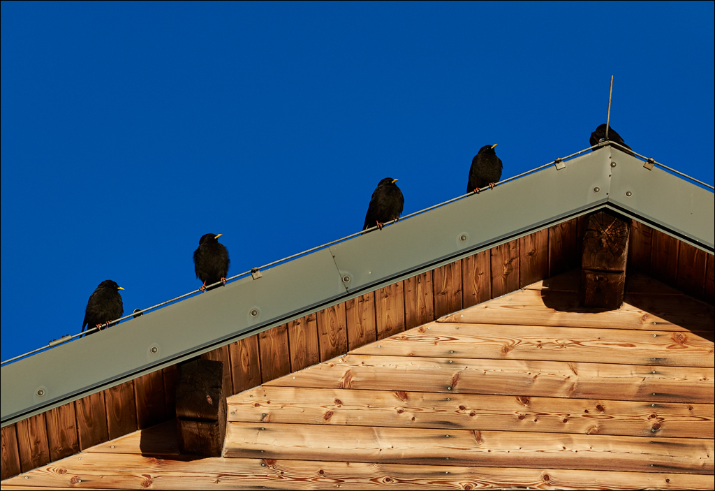 Dolomites 2017 5 057057