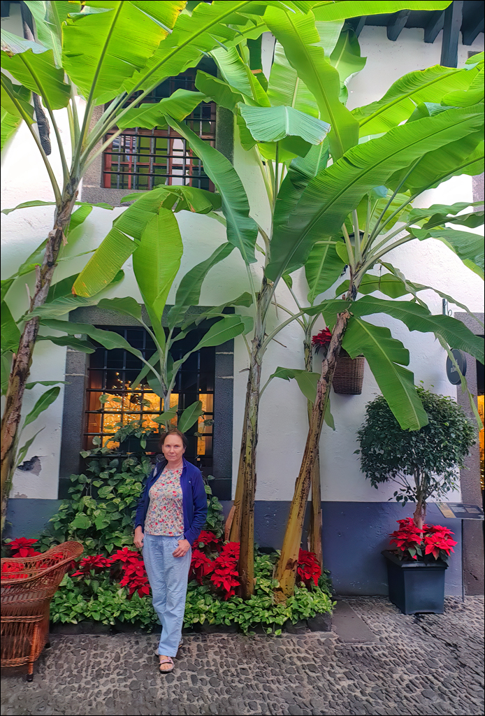 Madeira 24dec2024 08jan2025 192 00