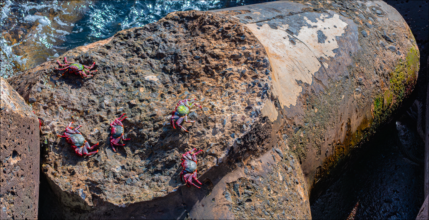 Madeira 24dec2024 08jan2025 201 00