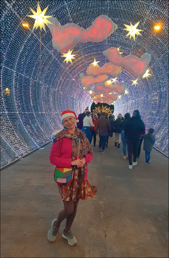 Madeira 24dec2024 08jan2025 231 00