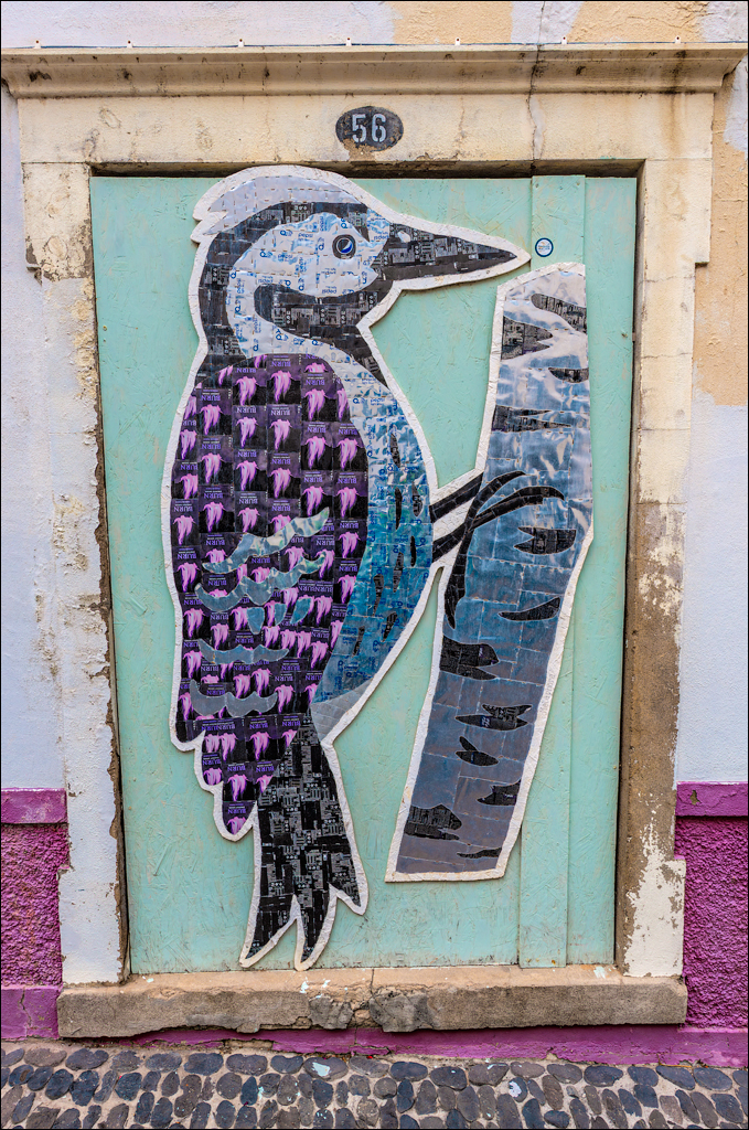 Madeira 24dec2024 08jan2025 119 00