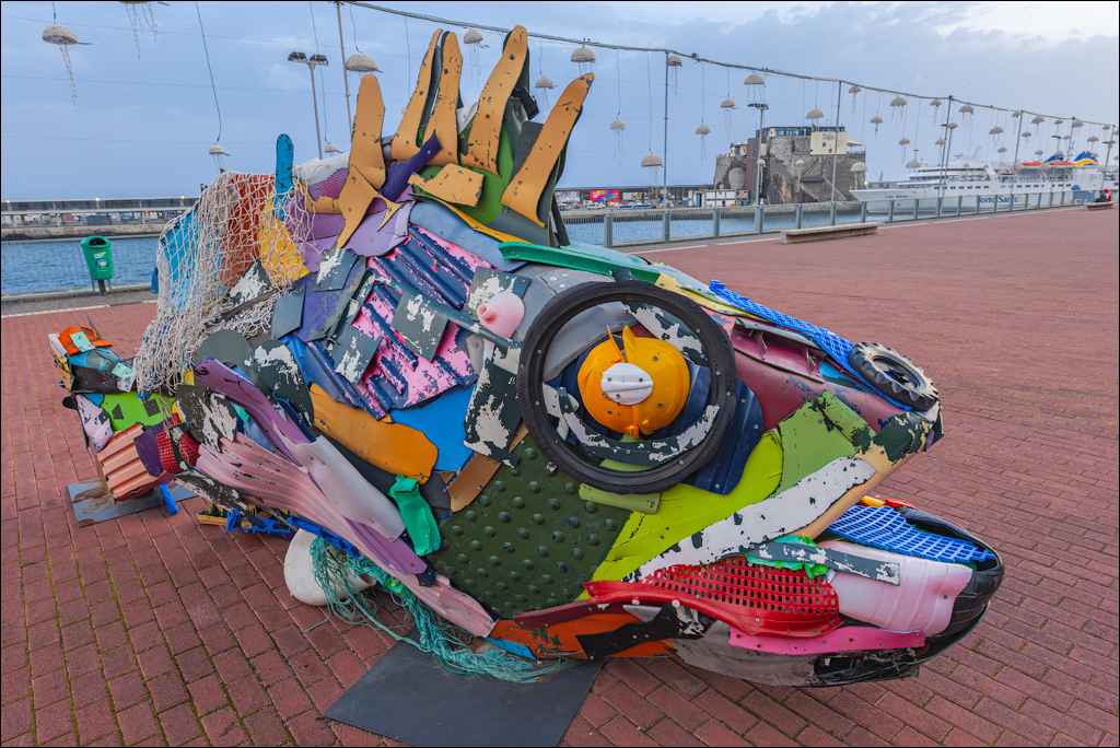 Madeira 24dec2024 08jan2025 150 00