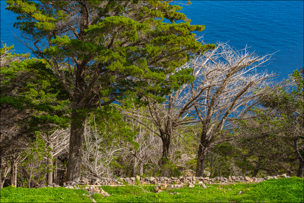 Madeira 24dec2024 08jan2025 168 00