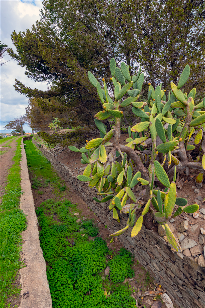 2Madeira 24dec2024 08jan2025 108 00