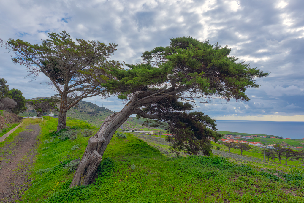 2Madeira 24dec2024 08jan2025 110 00