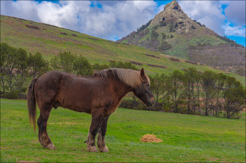 2Madeira 24dec2024 08jan2025 159 00