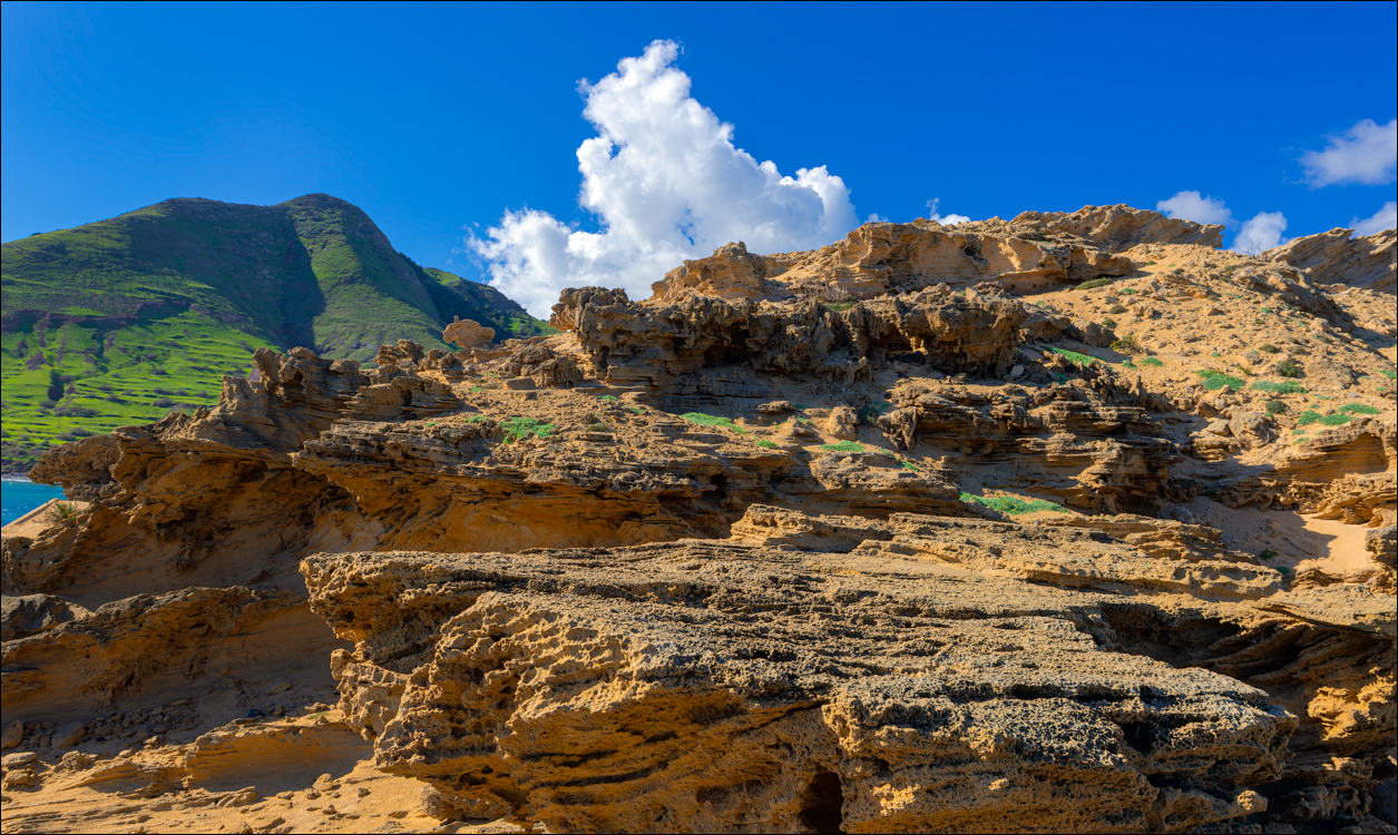 2Madeira 24dec2024 08jan2025 192 00