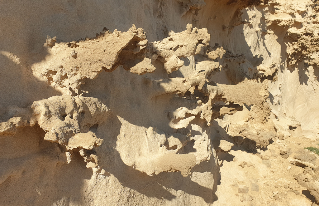 2Madeira 24dec2024 08jan2025 197 00