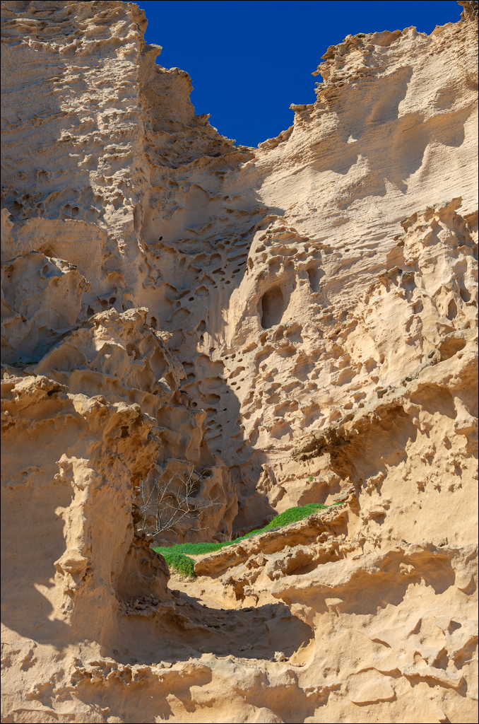 2Madeira 24dec2024 08jan2025 203 00