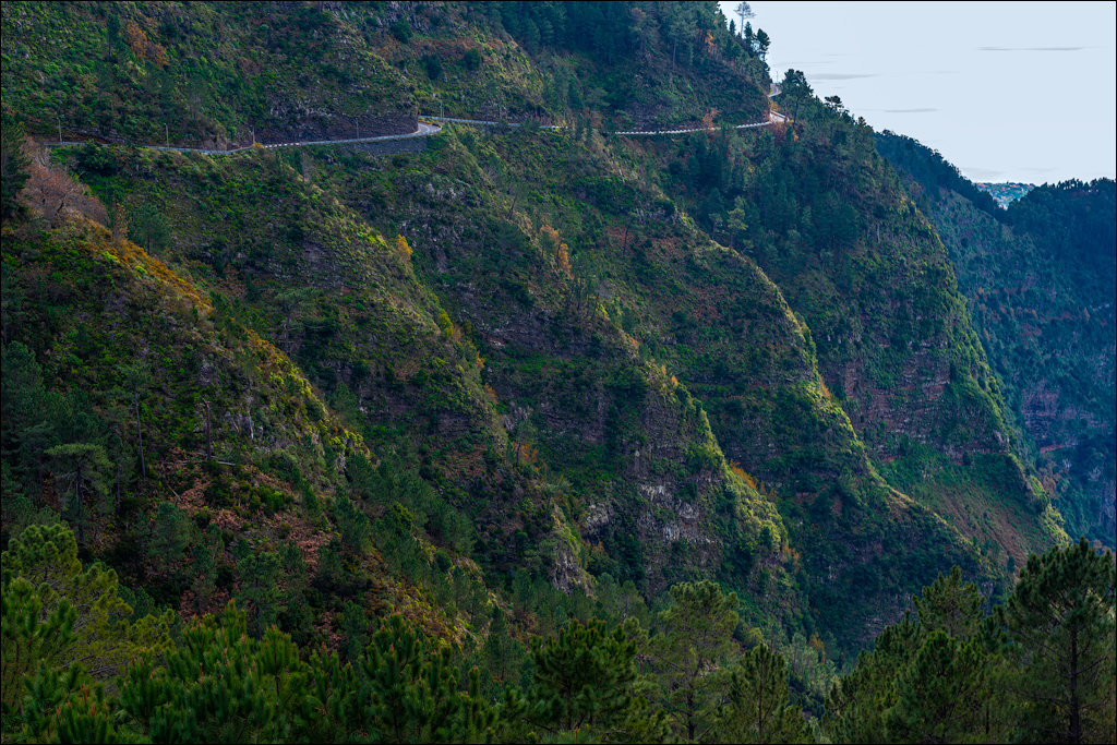 Madeira 24dec2024 08jan2025 100 00