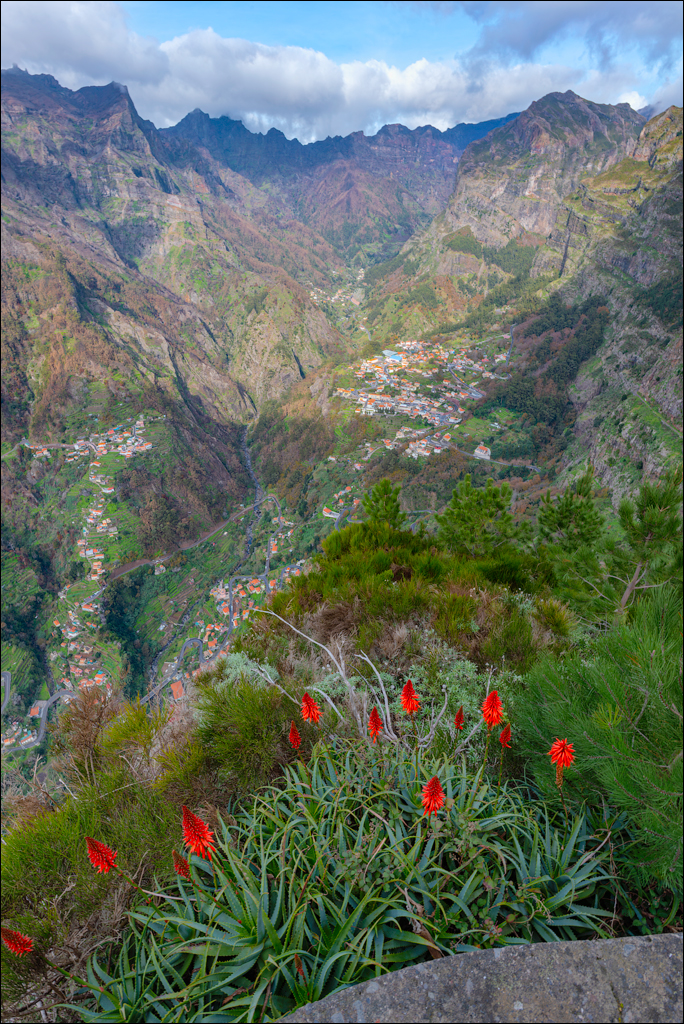 Madeira 24dec2024 08jan2025 113 00