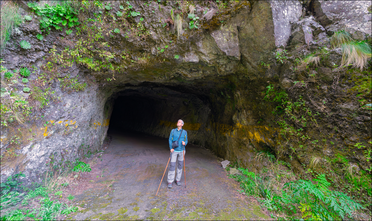 Madeira 24dec2024 08jan2025 136 00