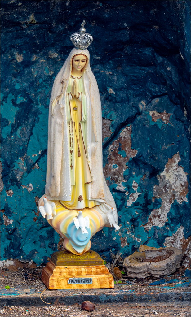 Madeira 24dec2024 08jan2025 151 00