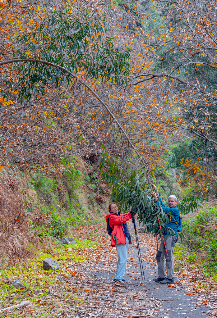 Madeira 24dec2024 08jan2025 160 00