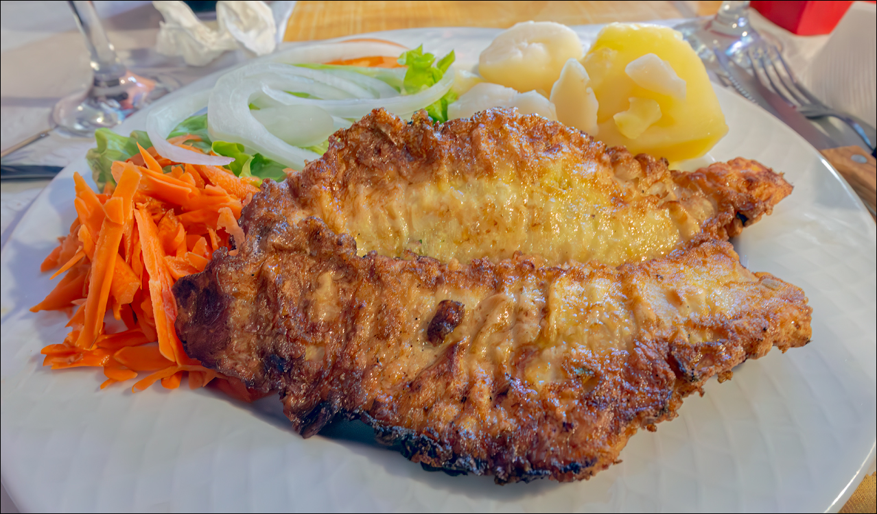 Madeira 24dec2024 08jan2025 182 00