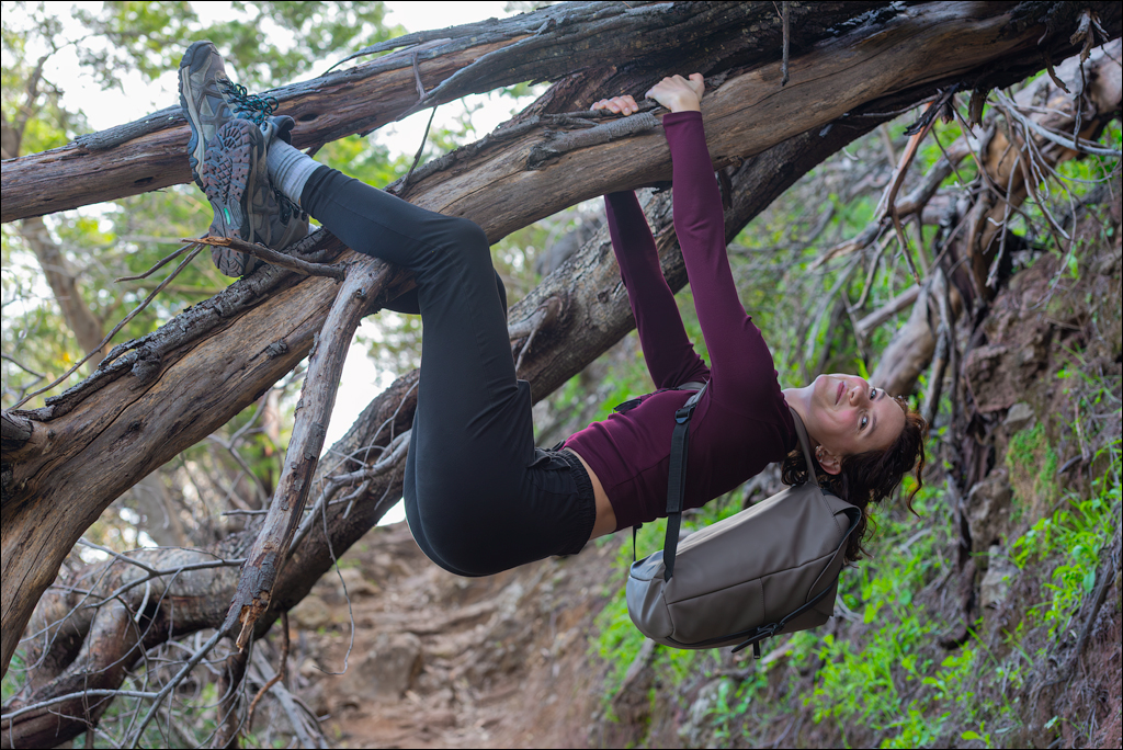 Madeira 24dec2024 08jan2025 101 00