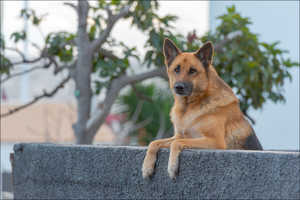 Madeira 24dec2024 08jan2025 119 00