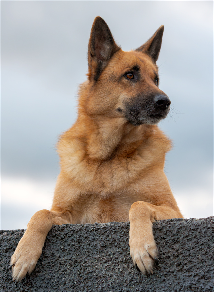 Madeira 24dec2024 08jan2025 120 00