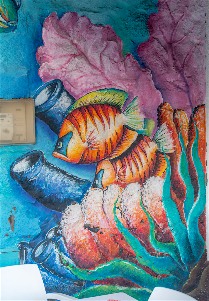 Madeira 24dec2024 08jan2025 122 00