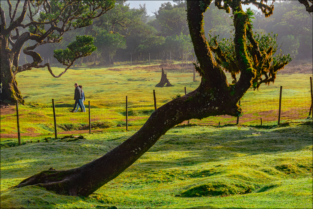 Madeira 24dec2024 08jan2025 111 00