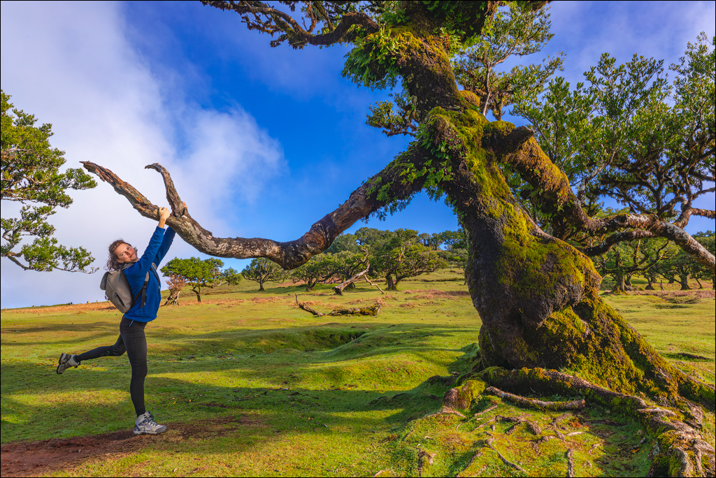 Madeira 24dec2024 08jan2025 128 00
