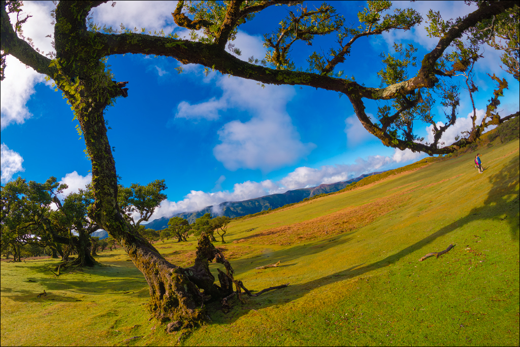 Madeira 24dec2024 08jan2025 137 00