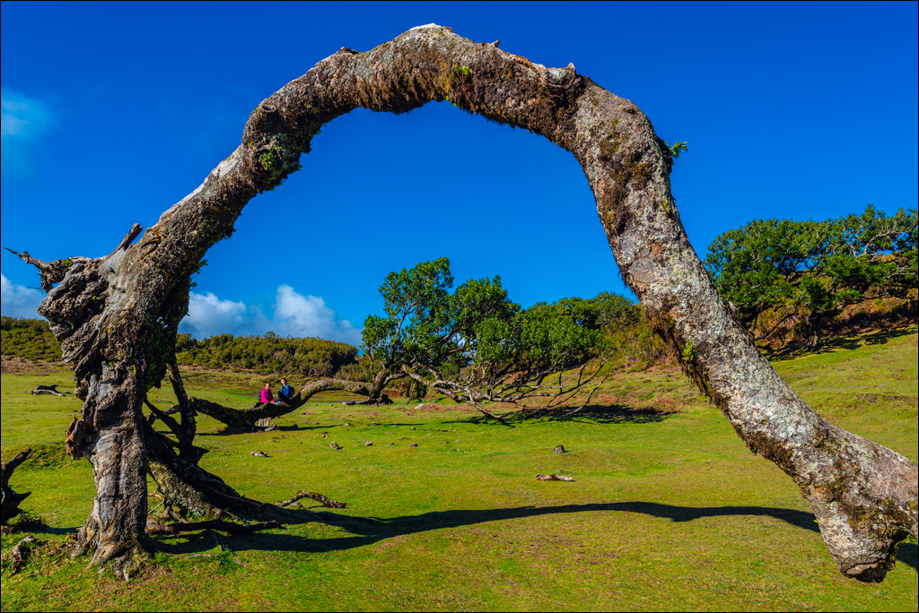 Madeira 24dec2024 08jan2025 150 00