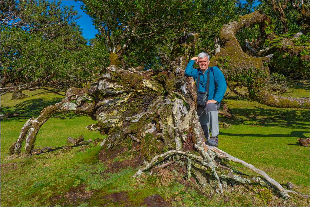 Madeira 24dec2024 08jan2025 152 00