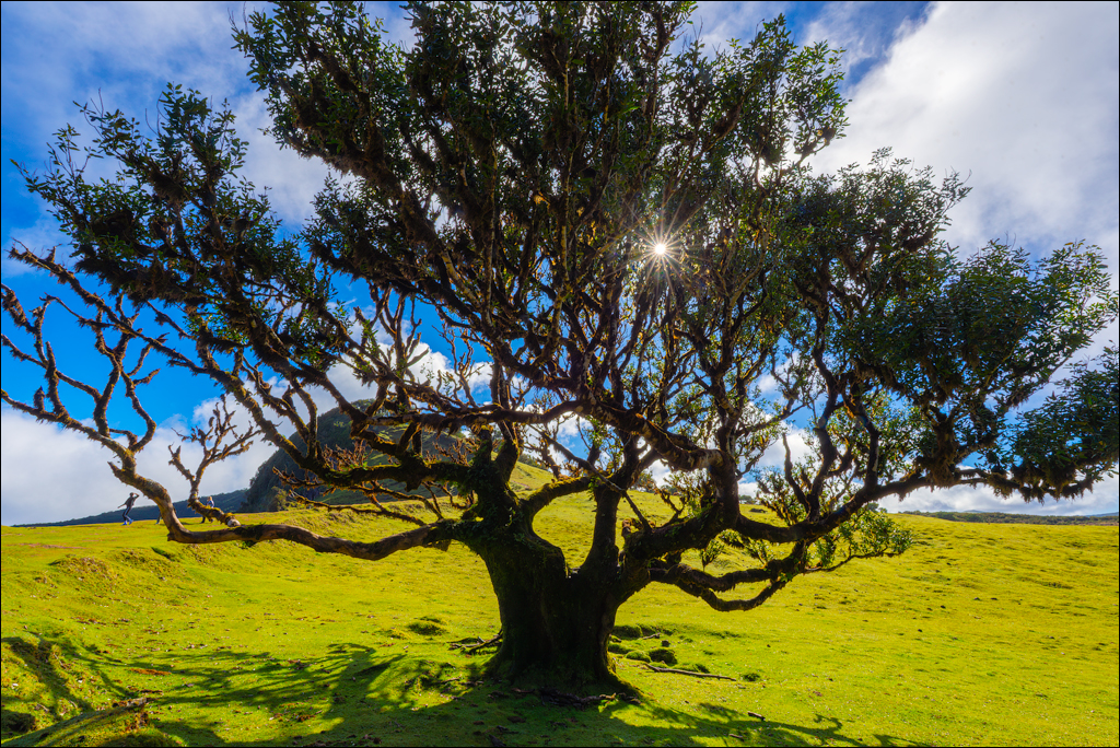Madeira 24dec2024 08jan2025 161 00