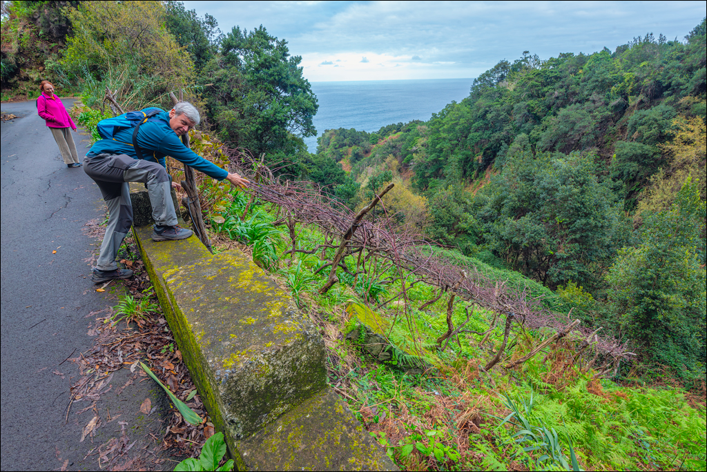 Madeira 24dec2024 08jan2025 180 00