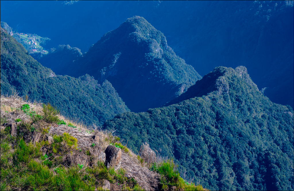 Madeira 24dec2024 08jan2025 175 00
