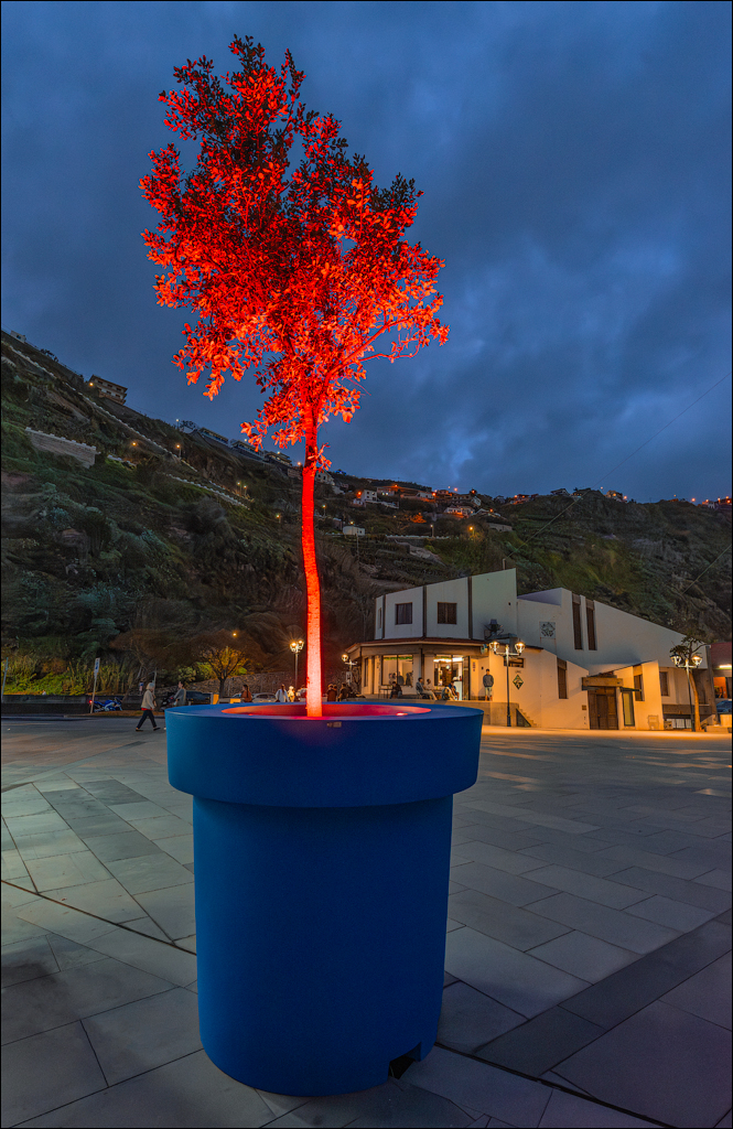 Madeira 24dec2024 08jan2025 126 00