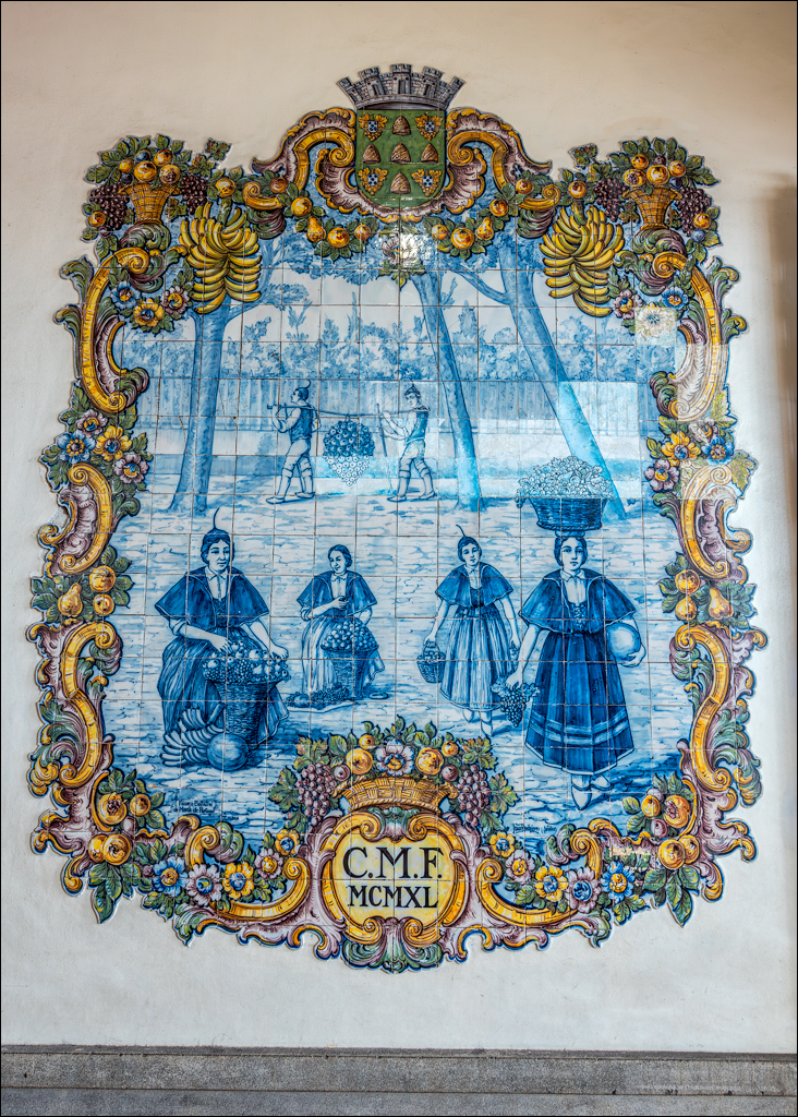 Madeira 24dec2024 08jan2025 142 00